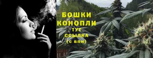 амф Щигры