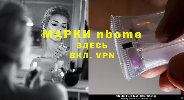 сатива Елизово