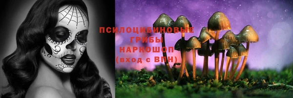 мет Елабуга