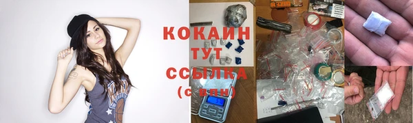 мет Елабуга