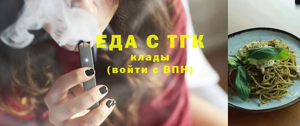 ECSTASY Ельня