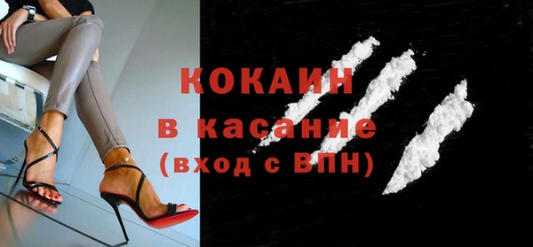сатива Елизово