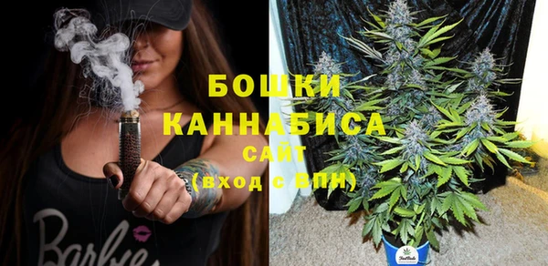 ECSTASY Ельня