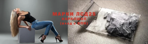 ECSTASY Ельня