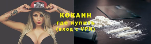 ECSTASY Ельня