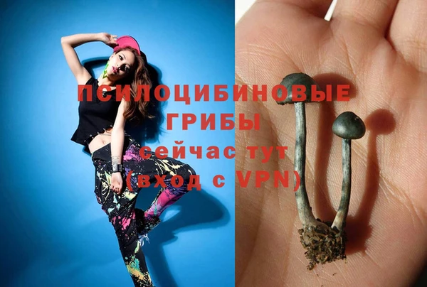 мет Елабуга