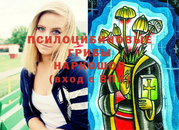 мет Елабуга