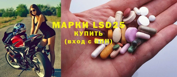 ECSTASY Ельня