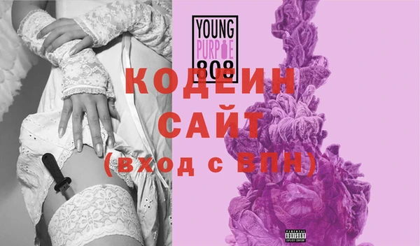ECSTASY Ельня