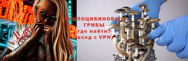 ECSTASY Ельня