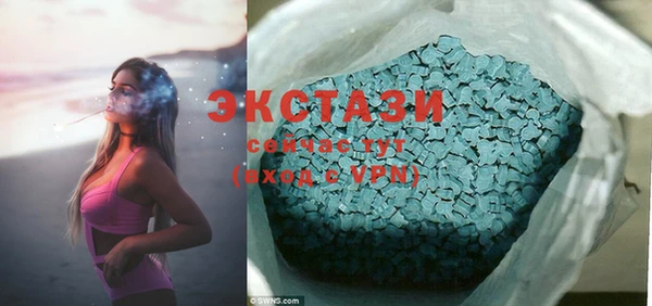 ECSTASY Ельня