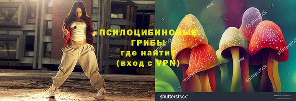 мет Елабуга