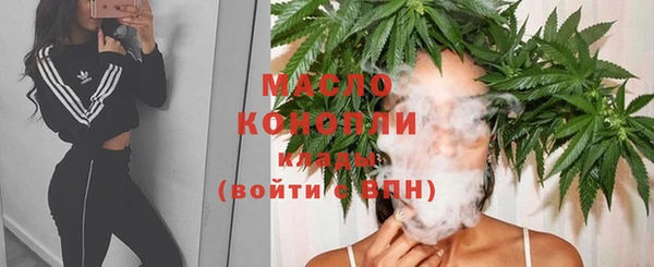 мет Елабуга